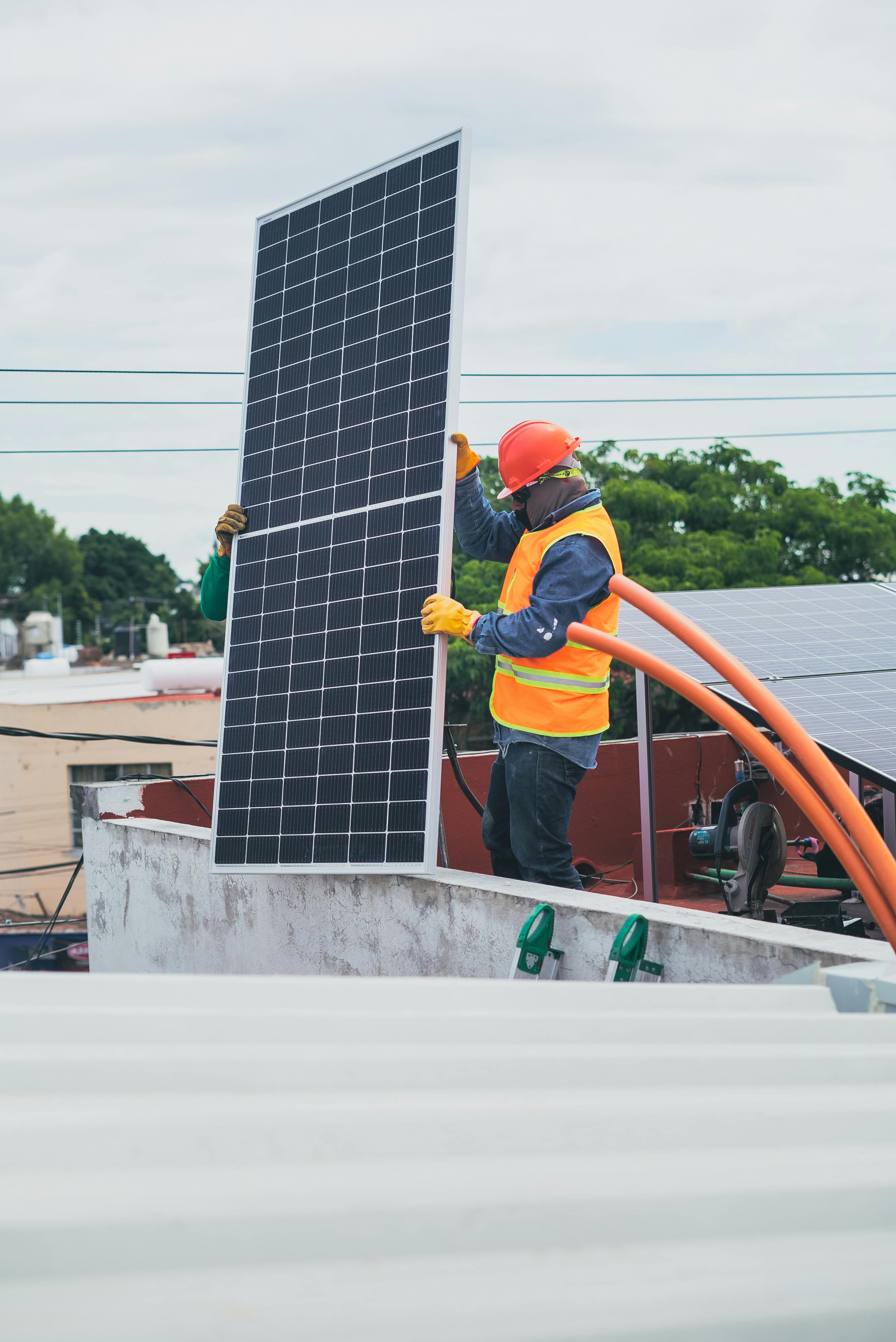 Paneles solares en una granja - Solaritas